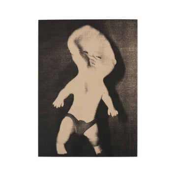 Polar Skate Co. Libro - Everything is normal Accessori Polar Skate Co. Libro - Everything is normal Accessori