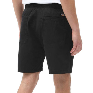 Dickies Bermuda Pelican Streetwear Dickies Bermuda Pelican Streetwear