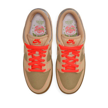 Nike Sb Dunk Low Pro