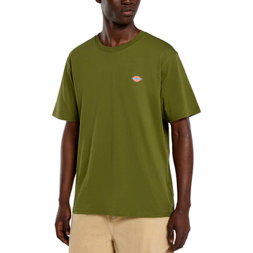 Dickies T-Shirt Mapleton Streetwear