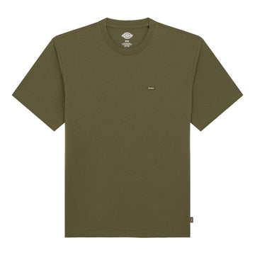 Dickies T-Shirt Clancy Streetwear