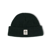 Magenta - Beanie Fam