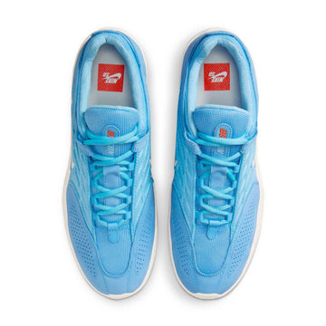 Nike Sb Vertebrae Orange Lable Shoes