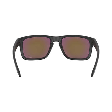 Oakley Occhiali Holbrook Prizm™ Violet Accessori