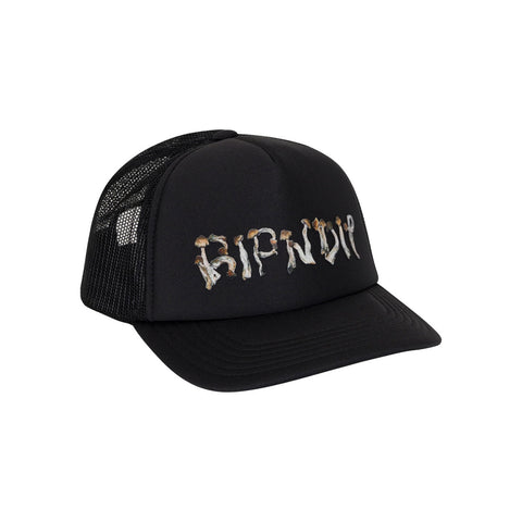 Ripndip